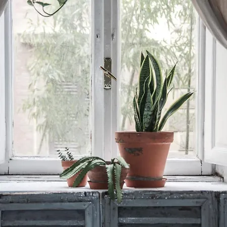 Ubytování v soukromí Coliving Trastevere *