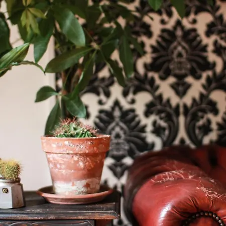 ホームステイ Coliving Trastevere