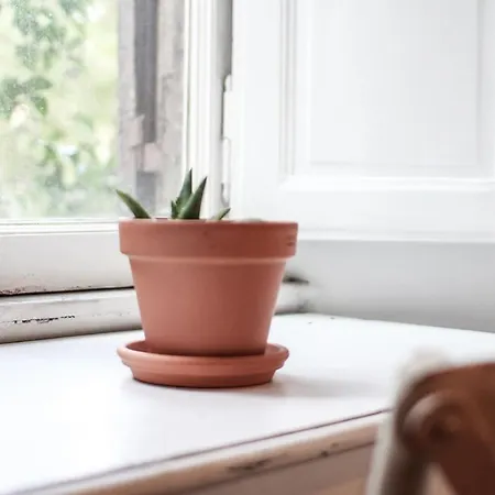 Homestay Coliving Trastevere *
