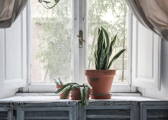 Privatunterkunft Coliving Trastevere *